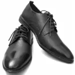 Regal Oxford Shoe (M 58)