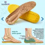Master insole
